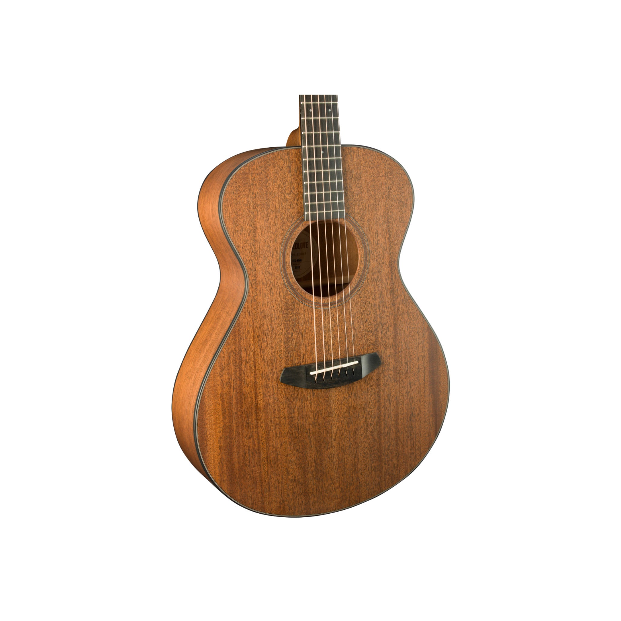 Breedlove Roots Concert MM E