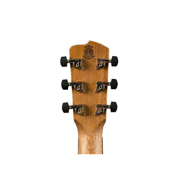 Roots Concert SM E - Edgeburst