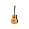 Breedlove Roots Concert SR E