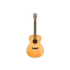 Breedlove Roots Concert SR E