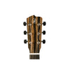 Breedlove Roots Concert SR E