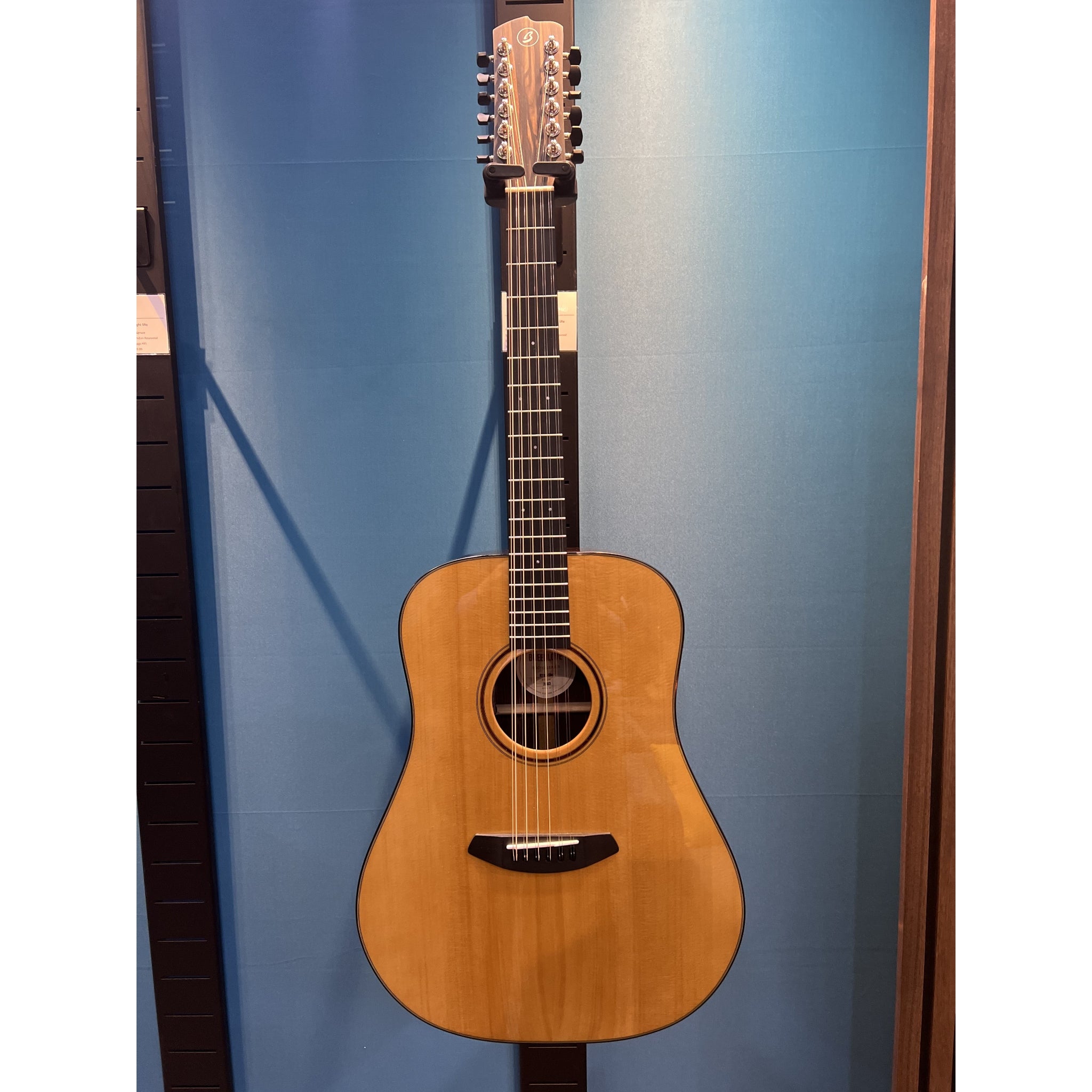 Breedlove Roots Dreadnought 12 string SR E