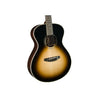 Breedlove Roots Dreadnought SR E