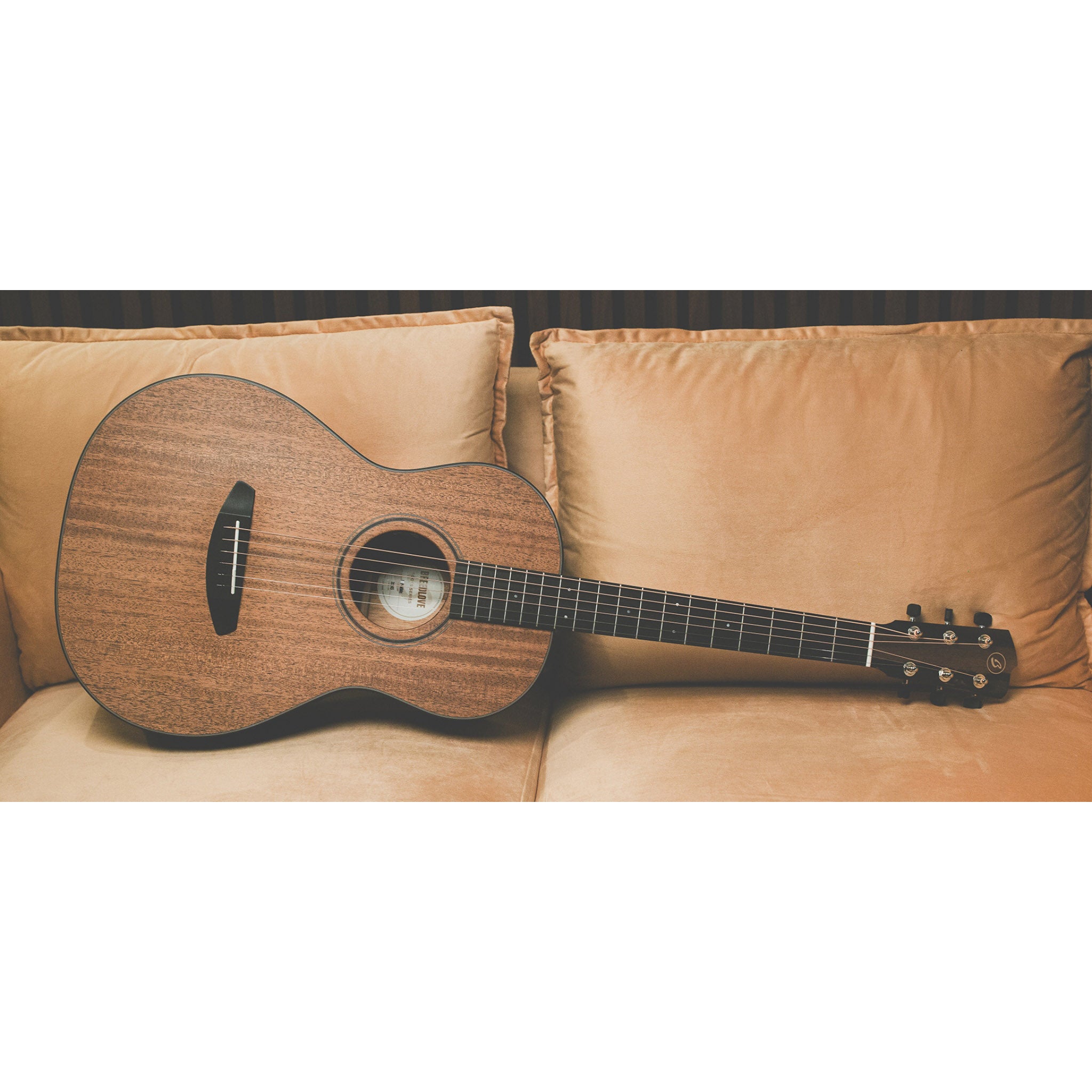 Breedlove Roots Parlor MM E