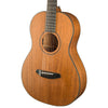 Breedlove Roots Parlor MM E