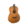 Breedlove Roots Parlor MM E