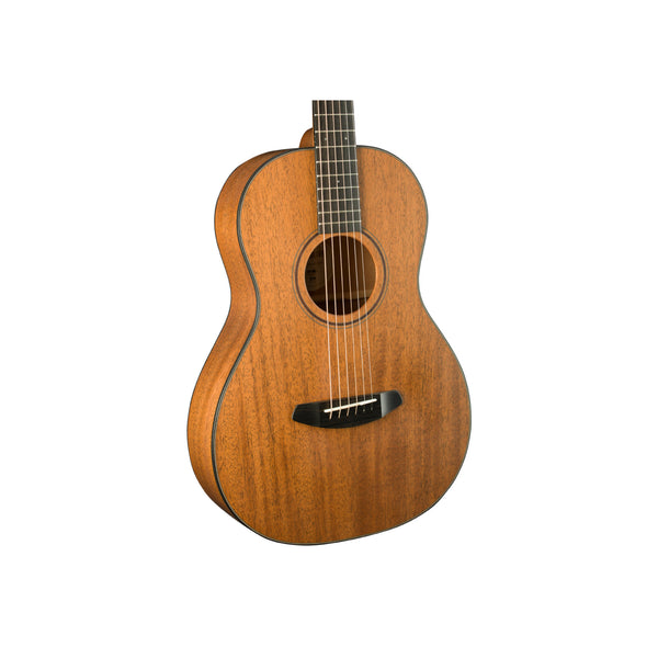 Breedlove Roots Parlor MM E