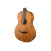Breedlove Roots Parlor MM E