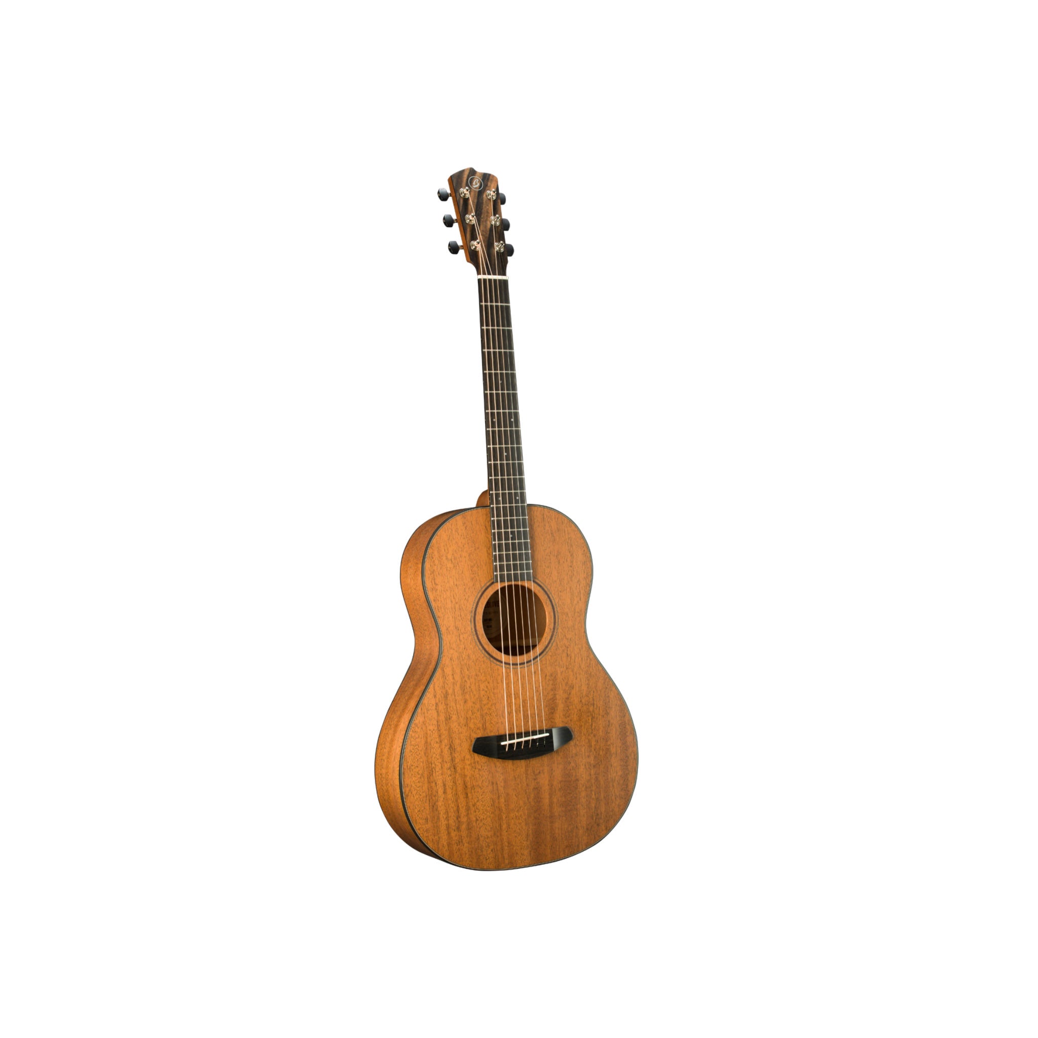 Breedlove Roots Parlor MM E