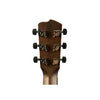 Breedlove Roots Parlor SR E