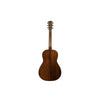 Breedlove Roots Parlor SR E