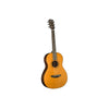 Breedlove Roots Parlor SR E