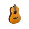 Breedlove Roots Parlor SR E