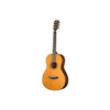 Breedlove Roots Parlor SR E