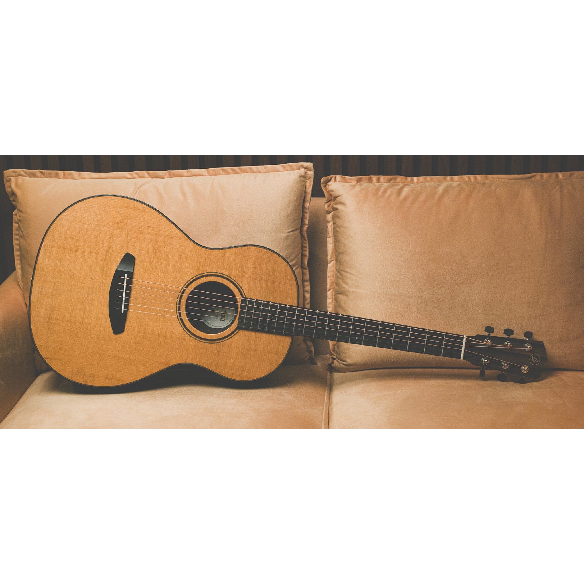 Breedlove Roots Parlor SR E