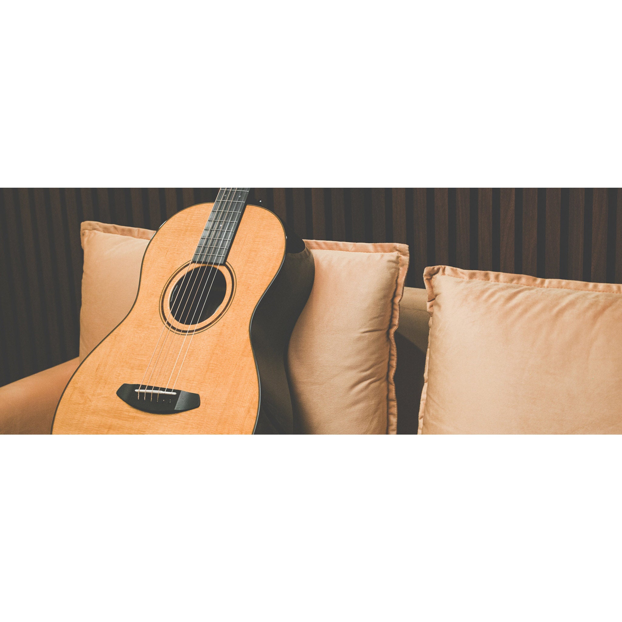 Breedlove Roots Parlor SR E