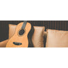 Breedlove Roots Parlor SR E
