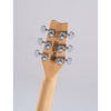 Washburn Wing Series Raven R5CB-U Electric Guitar – Cherry Burst