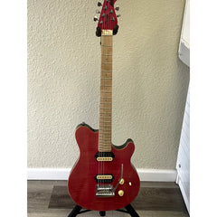 Pickup &amp; bridge detail — HH with tremolo