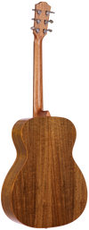 Teton STG110NT grand concert acoustic guitar studio back view, ovangkol back and sides