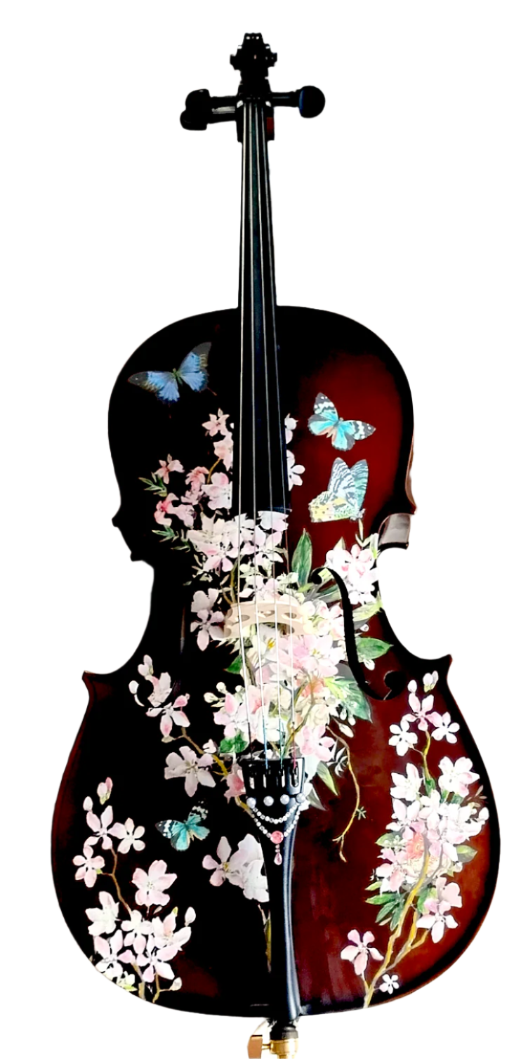 Cherry Blossom Cello Outfit