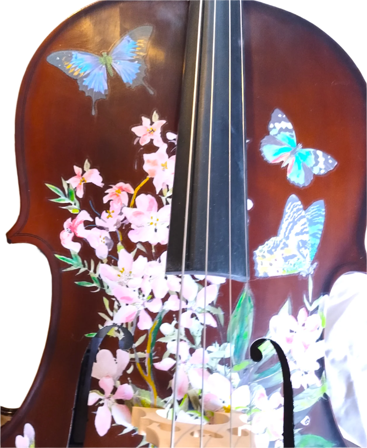 Cherry Blossom Cello Outfit
