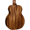 Lag BlueWave Travel Nylon Vintage Brown Satin Smart Guitar TNBW1TE-N-BRW