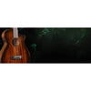Breedlove Wildwood Pro Wildwood Pro Parlor Concertina Suede CE African Mahogany–African Mahogany — banner/background