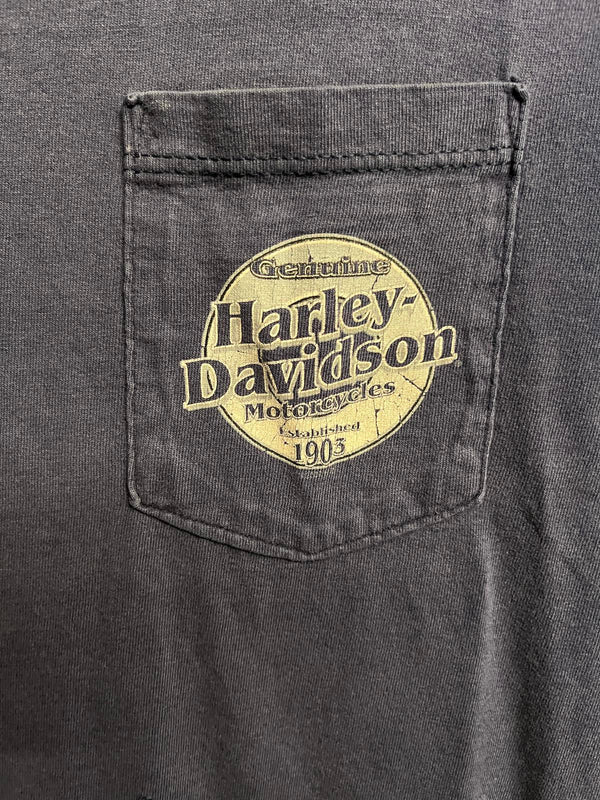Faded Harley Davidson Pocket Tee Aces Fire Dice - XL