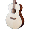 Breedlove Discovery S Concert European - African mahogany - El Cajon Guitars and Music