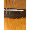 Breedlove Performer Pro Concert Thinline Aged Toner CE European - EI Rosewood - Hardshell Case Included - El Cajon Guitars and Music