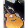 Breedlove Performer Pro Concert Thinline Aged Toner CE European - EI Rosewood - Hardshell Case Included - El Cajon Guitars and Music
