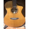 Breedlove Performer Pro Concert Thinline Aged Toner CE European - EI Rosewood - Hardshell Case Included - El Cajon Guitars and Music