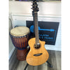 Breedlove Performer Pro Concert Thinline Aged Toner CE European - EI Rosewood - Hardshell Case Included - El Cajon Guitars and Music