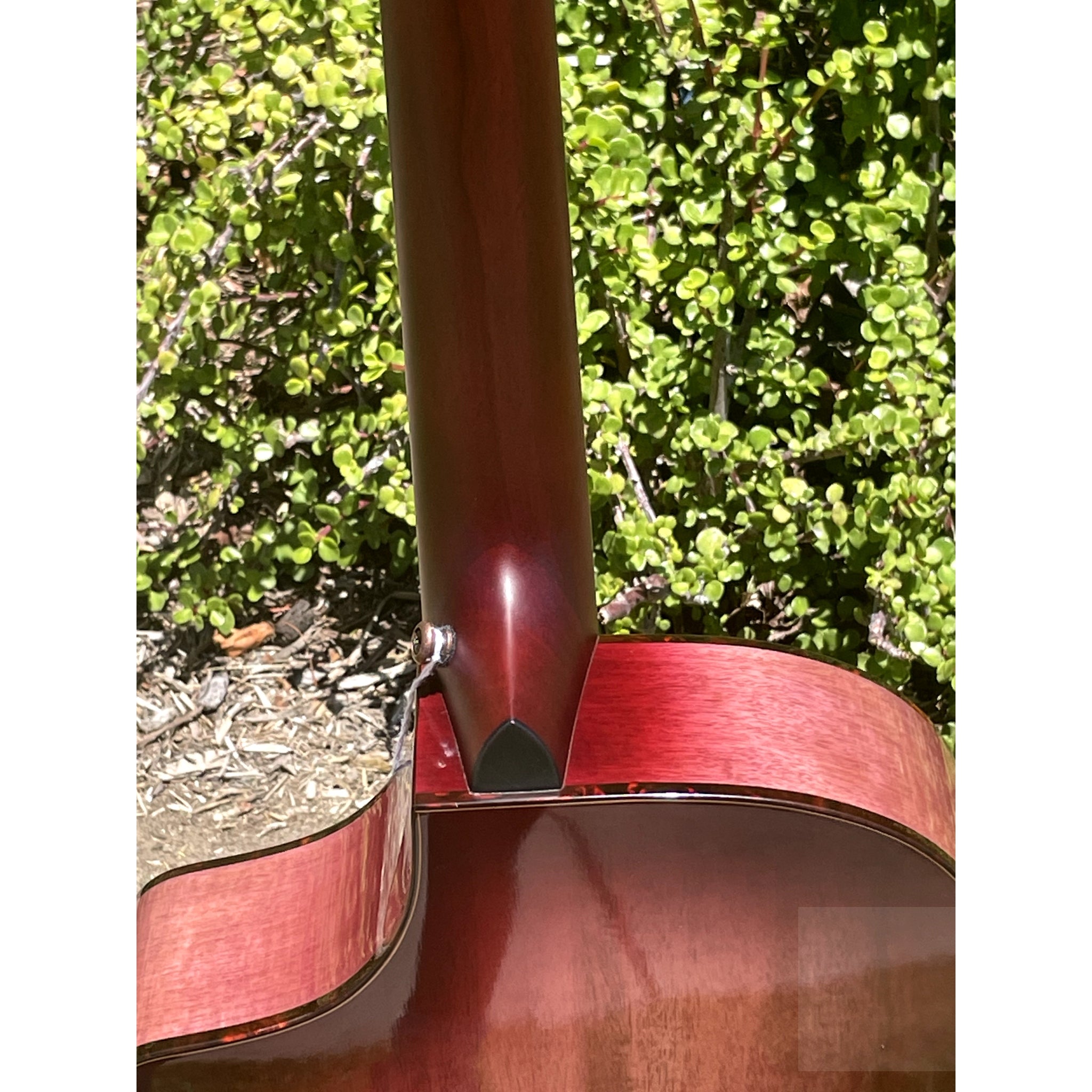 Breedlove Pursuit Exotic S Concert Limited Edition Pinot Burst CE Myrtlewood - Myrtlewood - El Cajon Guitars and Music