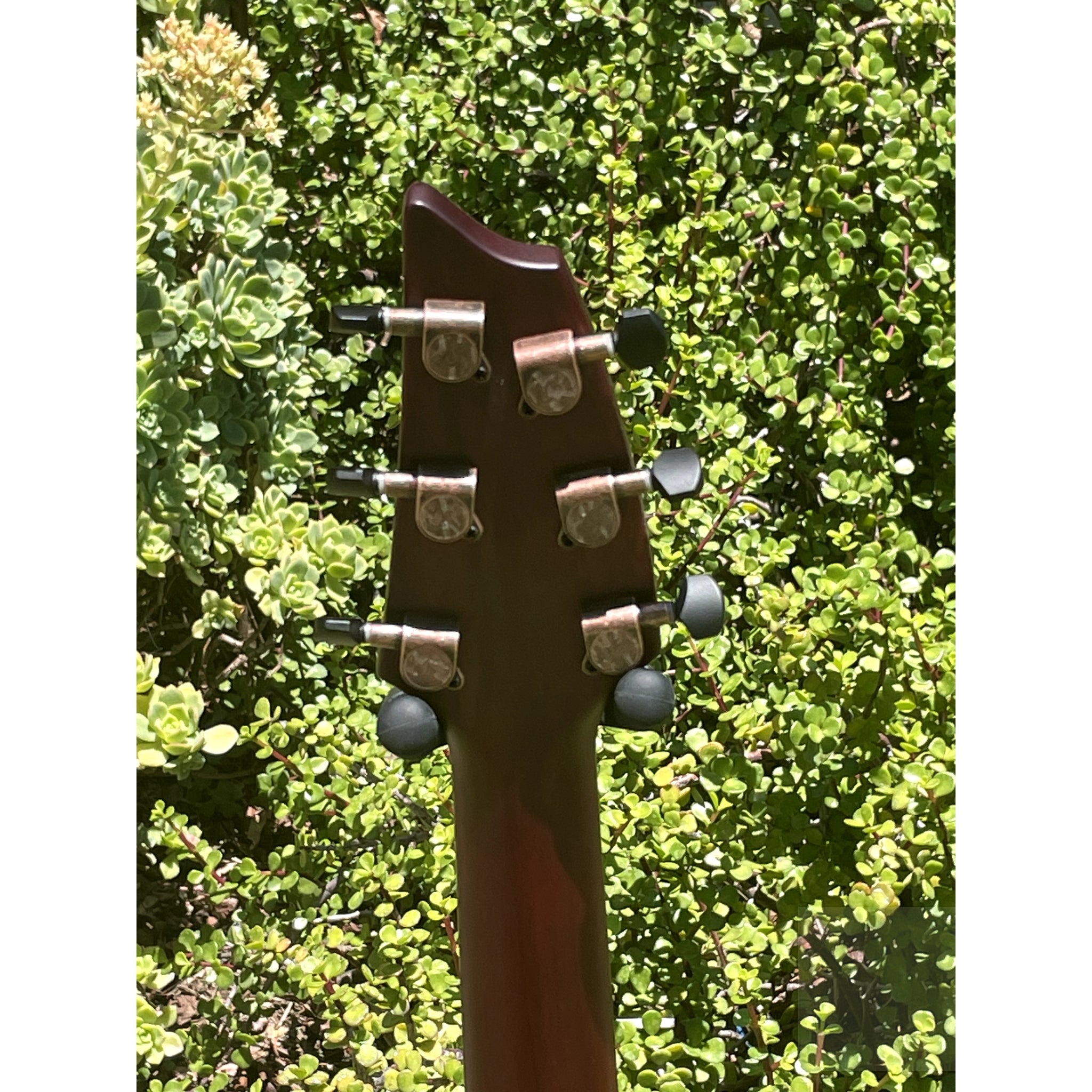 Breedlove Pursuit Exotic S Concert Limited Edition Pinot Burst CE Myrtlewood - Myrtlewood - El Cajon Guitars and Music