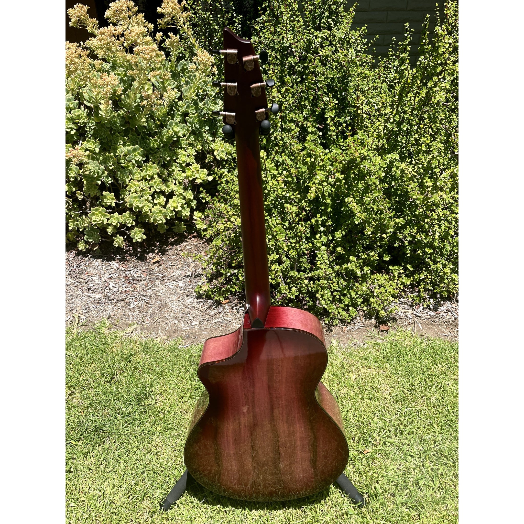 Breedlove Pursuit Exotic S Concert Limited Edition Pinot Burst CE Myrtlewood - Myrtlewood - El Cajon Guitars and Music
