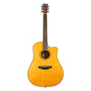 Breedlove Roots Dreadnought SRce Sitka Spruce & Rosewood Acoustic-Electric Guitar