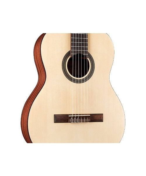 Cordoba C1M Full Size Classical Acoustic Nylon String Guitar - El Cajon Guitars and Music