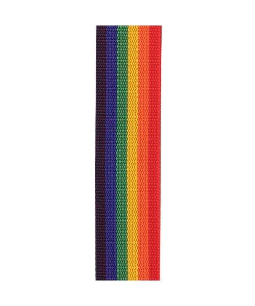 D'Addario Auto Lock Guitar Strap PolyPro Rainbow - El Cajon Guitars and Music