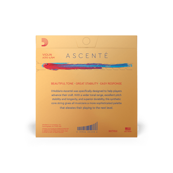 Violin - Ascente Strings