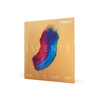 Violin - Ascente Strings