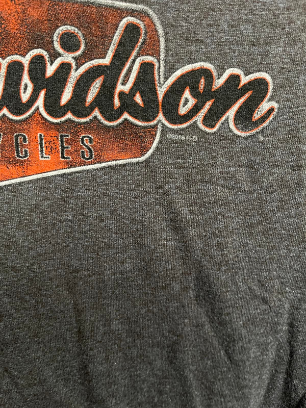 T-shirt Harley Davidson Surfboard Flames Bald Eagle Surf Tee