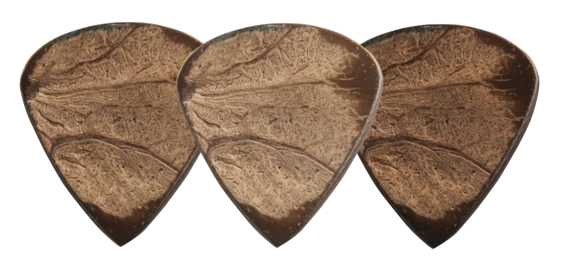 Exotics Coconut Shell image 1