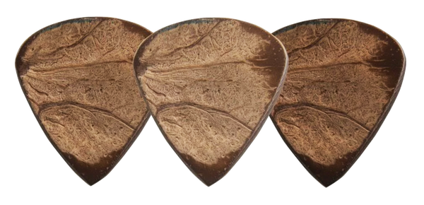 Exotics Coconut Shell image 1