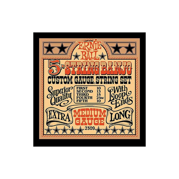 Ernie Ball 5 - String Medium Stainless Steel Banjo Strings - P02309 - El Cajon Guitars and Music