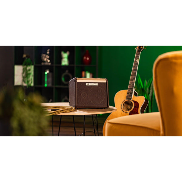 Fishman Loudbox Micro - 40 watts PRO - LBT - 400 - El Cajon Guitars and Music