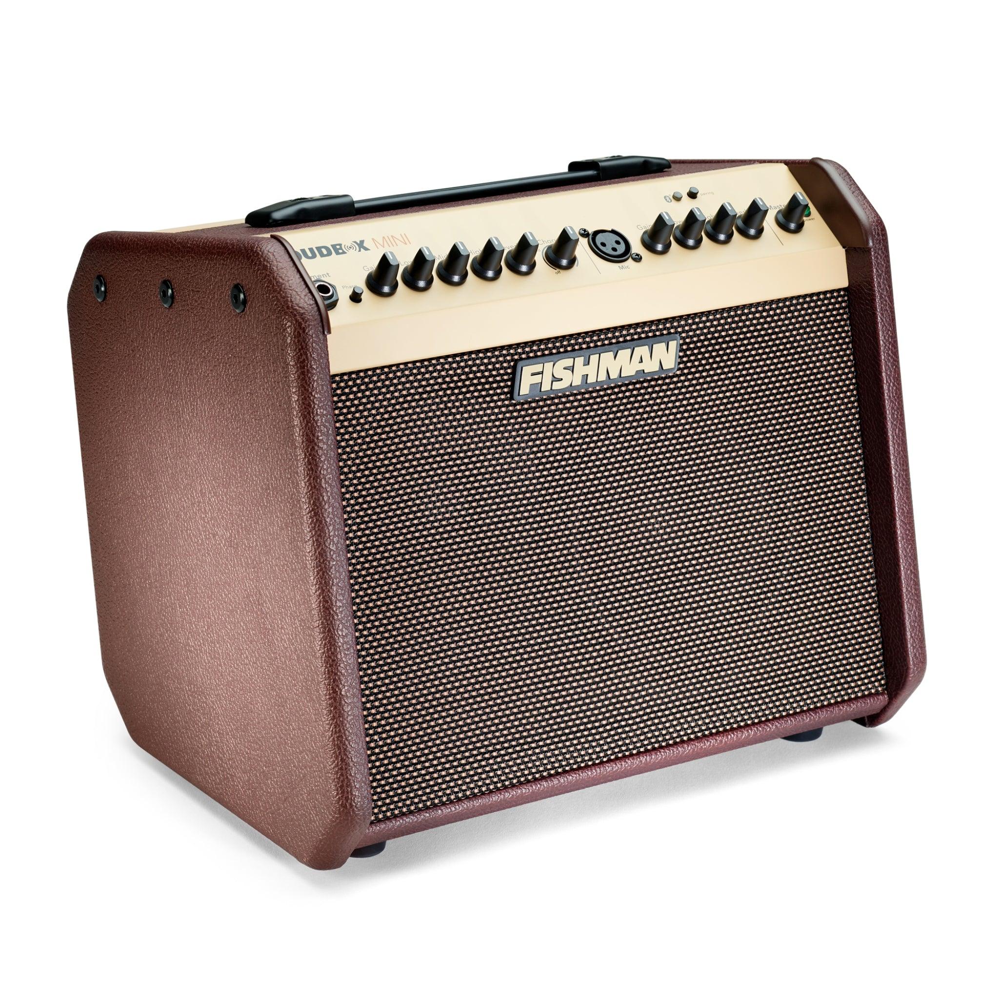 Fishman Loudbox Mini - 60 watts - El Cajon Guitars and Music