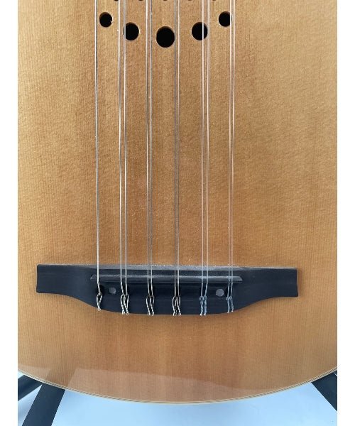 Godin Multi Oud Ambiance Nylon Natural HG - El Cajon Guitars and Music