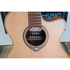 Rosette/ sound hole view with lower fretboard and middle bought view of this Lâg HyVibe 10 HV10ACE Serial 2604LT07360.